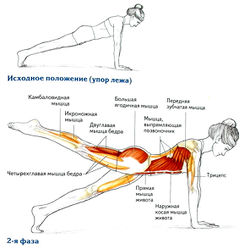 Техника выполнения подъёма ног из упора лёжа