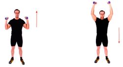 Жим гантелей стоя