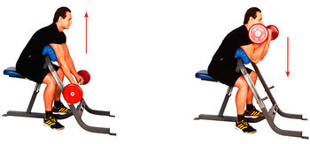 Подъем штанги на «скамье для молитвы»