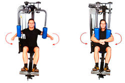 Сведение и разведение рук