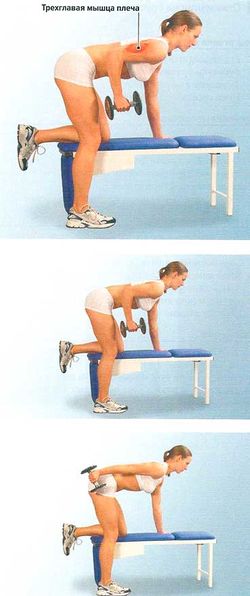 Разгибание руки на скамье