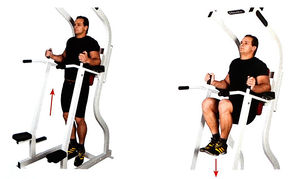 Подъем согнутых ног на брусьях