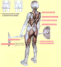 Техника классической становой тяги