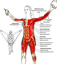 Техника выполнения кроссовера