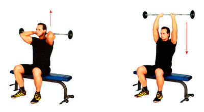 Французский жим сидя