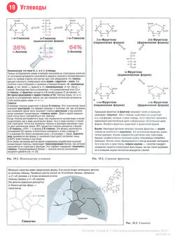 Углеводы в питании человека