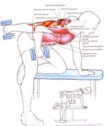 Разгибание рук в наклоне