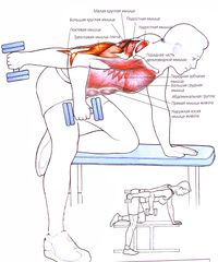 Разгибание руки с гантелью в наклоне