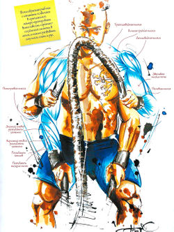 Волны с канатами