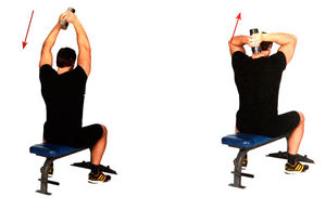 Французский жим сидя с гантелью