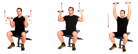 Жим гантелей сидя с поворотом кистей