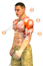 Тяга одной рукой стоя