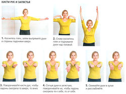 Растяжки мышц кистей рук и запястей