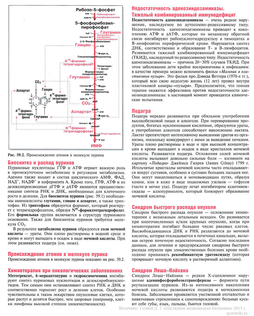 Файл:Scan129 1.jpg