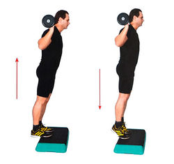 Подъем на носки из положения стоя