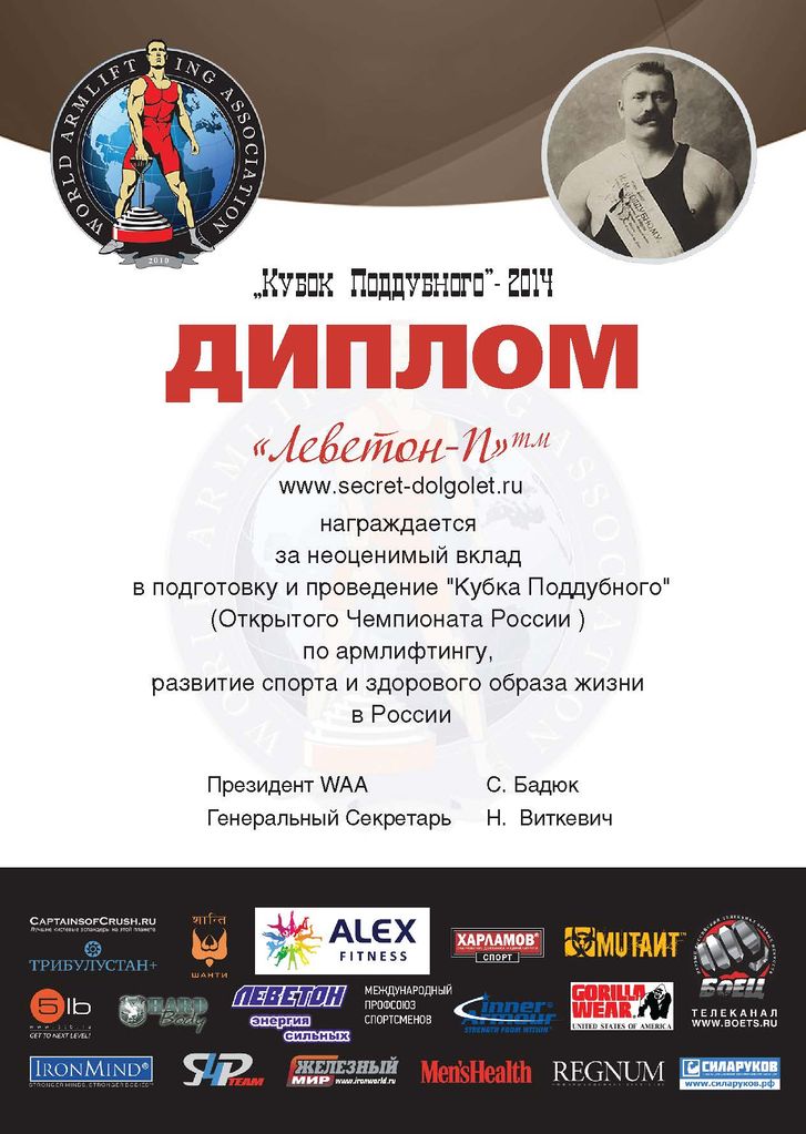 Файл:Diplom sponsor leveton.jpg