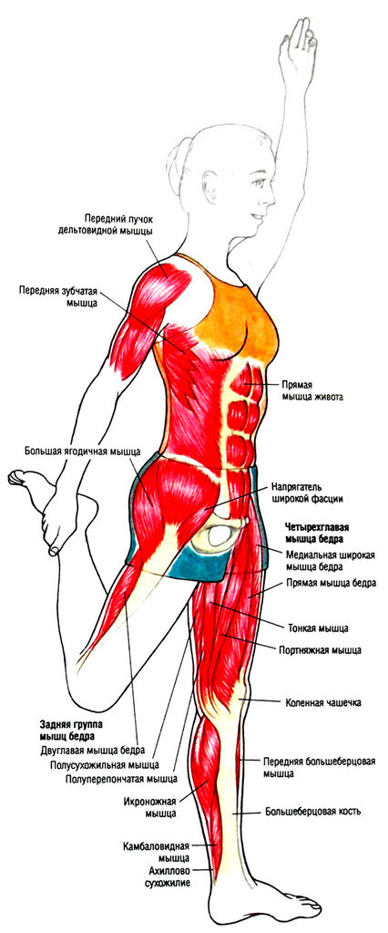Файл:SAM 4879a.jpg