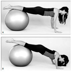 Рис. 4. Отжимания на мяче. Для поддержки торса держите живот втянутым, а ягодицы — напряженными