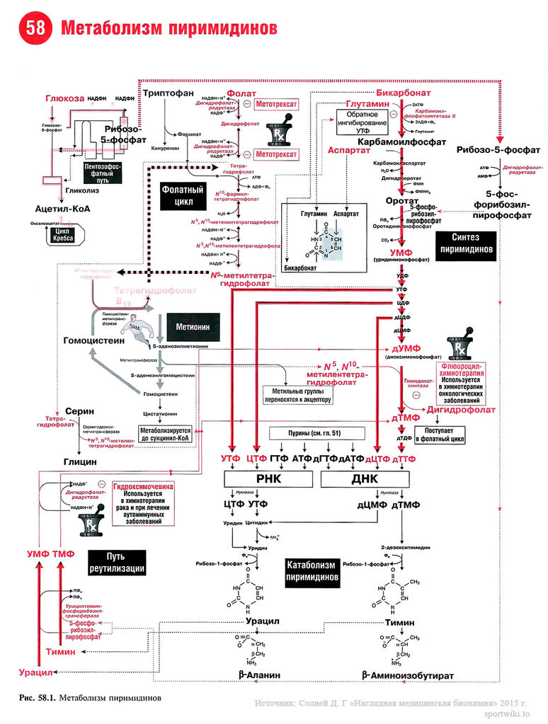 Файл:Scan126 1.jpg