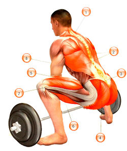 Становая тяга с прямой спиной