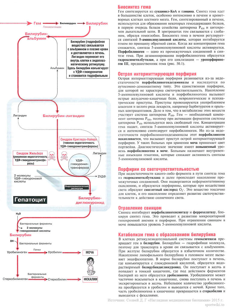 Файл:Scan111 1.jpg