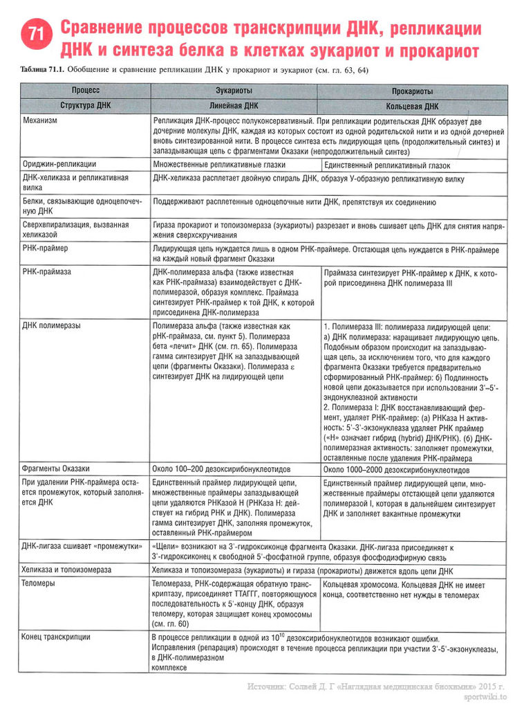 Файл:Scan152 1.jpg