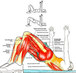 Мостик на плечах с поднятыми руками
