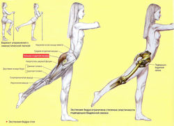 Выполнение упражнения «Экстензия бедра»
