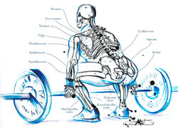 Подъем штанги на грудь. Исходное положение